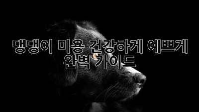 댕댕이 미용, 건강하게 예쁘게! 완벽 가이드