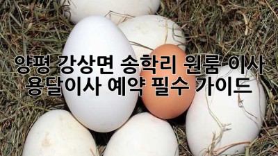양평 강상면 송학리 원룸 이사? 용달이사 예약 필수 가이드!